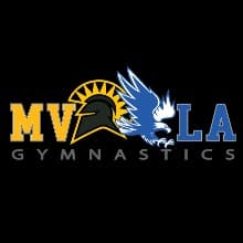 MVLA Gymnastics Fundraiser