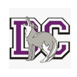 Diamond Canyon Elementary Drive